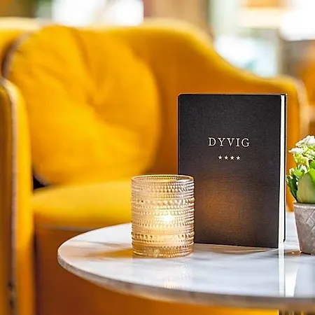 Dyvig 호텔 노르보르